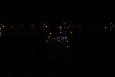 DSC_2482 (Large).JPG